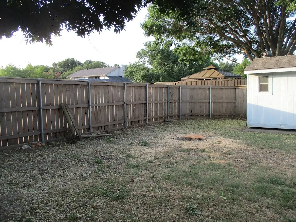Cleared yard after professional tree removal in Salineville